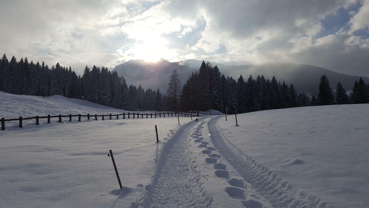 Bauernhof Ober Apartment Birnbaum ภายนอก รูปภาพ